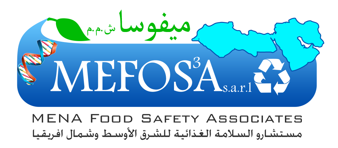  MEFOSA Logo